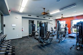Phoenix apartment for rent - A gym with a variety of equipment including treadmills, weights, and exercise machines.