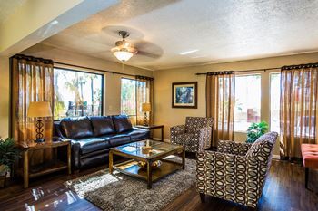 The vistas apartment homes living room