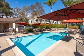 Ventura apartment for rent - Ventura, CA Apartments Near Walmart - Cypress Meadows - Pool with Jacuzzi and Sun Lounge Chairs