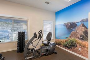 Ventura apartment for rent - Ventura, CA, Apartments Near Walmart - Cypress Meadows - A Fitness Center With Recumbent Exercise Bike, Vertical Dumbbell Rack, And A Large Coastal Landscape Wall Mural.