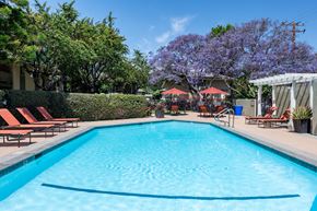 Goleta apartment for rent - Goleta, CA, Apartments - Encina Meadows - Swimming Pool With Clear Blue Water, Orange Lounge Chairs, Red Patio Umbrellas, A White Pergola, And Lush Trees.