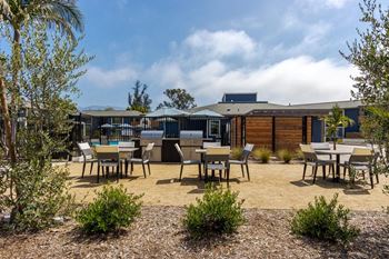 Bbq/picnic area