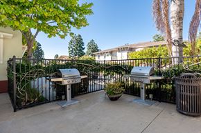 Ventura apartment for rent - Ventura, CA Apartments Near The Collection Oxnard - Ralston Courtyards - Outdoor BBQ Grills At BBQ Area With Surrounding Steel Railings, Bushes, And Trees.