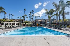 Santa Barbara apartment for rent - Apartments for Rent in Goleta, CA - Sumida Gardens - Pool with Spacious Sundeck, Lounge Seats, Umbrella Tables with Chairs, Pergola, and Palm Trees.