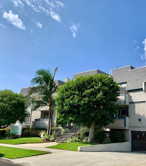 Los Angeles apartment for rent - A modern house with a palm tree in front at 3615 Watseka Ave, Los Angeles, CA, 90034