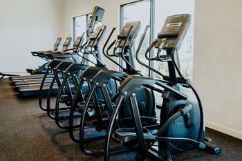Ellipticals