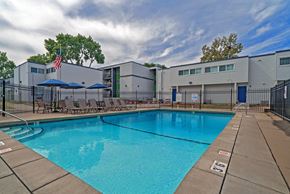 Hopkins apartment for rent - our apartments have a swimming pool with chairs and umbrellas