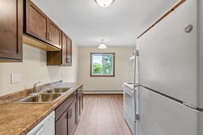 St. Paul apartment for rent - a kitchen with a sink and refrigerator and a window