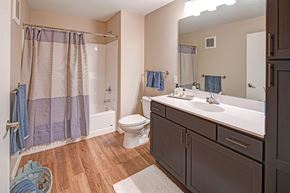 St. Paul apartment for rent - a bathroom with a sink toilet and a shower