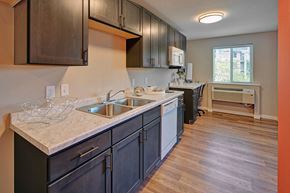 St. Paul apartment for rent - a kitchen with wood flooring and a large counter with a sink