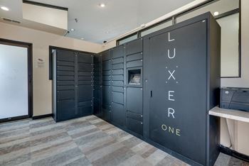Luxer one package system