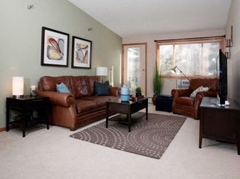 Window treatments