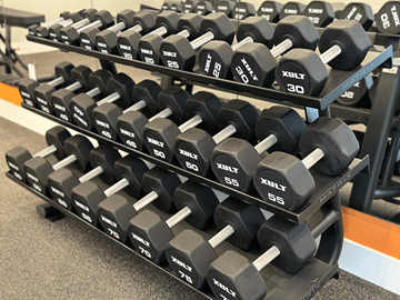 Bound Brook apartment for rent - A rack of black dumbbells with white numbers ranging from 30 to 75.