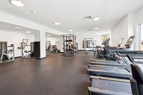 Norfolk apartment for rent - A spacious gym with treadmills, weights, and exercise equipment at The Point Apartments on 38th, Norfolk, Virginia
