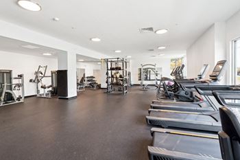A spacious gym with treadmills, weights, and exercise equipment