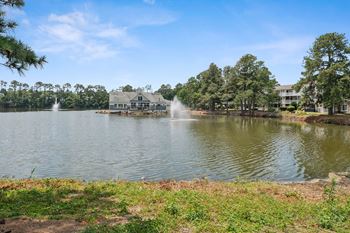 Dazzling waterfront and nature views