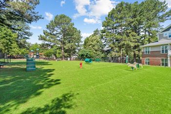 Backyard and dog park