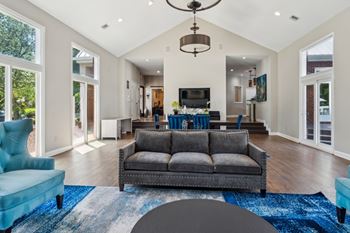 A living room with a grey couch and a blue rug.