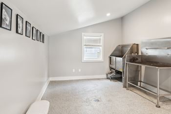 Pet care center