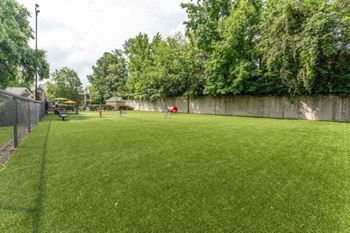 Large grass field