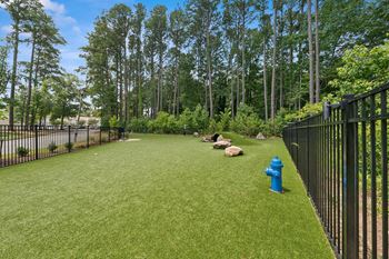 Pet park