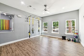 A room with a wooden floor and a wall-mounted exercise equipment.