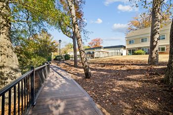 A wooden walkway with a metal railing is surrounded by trees