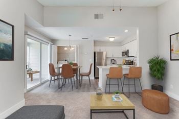 Living room and kitchen