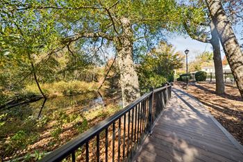 A wooden walkway with a metal railing runs through a wooded area