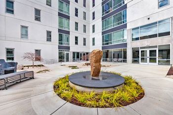 Zen garden