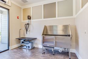 Jacksonville apartment for rent - Pet Wash Center at The Loree, Florida, 32256