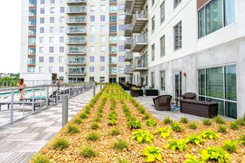 Outdoor area