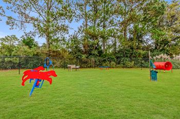 Dog park
