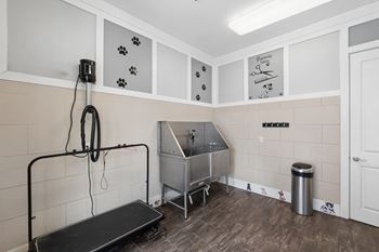 Pet spa