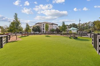 Bark park at the loree