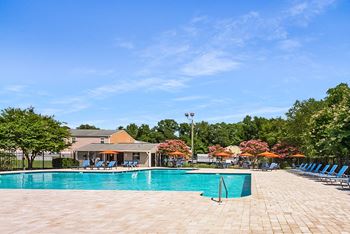 A swimming pool surrounded by trees and chairs.