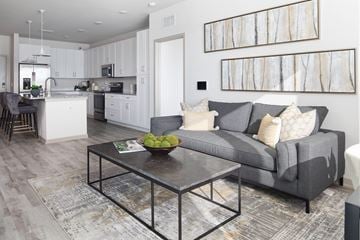Tampa apartment for rent - A modern living room with a grey couch and a glass coffee table.