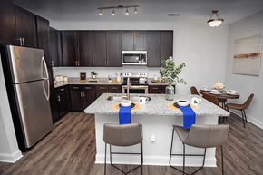 Myrtle Beach apartment for rent - Modern Kitchen View at HAVEN POINTE AT CAROLINA FOREST APARTMENTS, Myrtle Beach, 29579