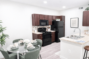 Greenville apartment for rent - Kitchen View at POINTE AT GREENVILLE APARTMENTS, South Carolina, 29611