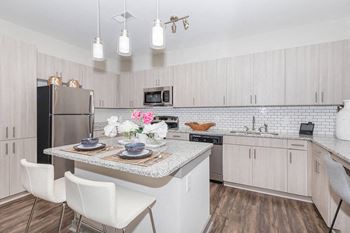 Modern fully equipped kitchen