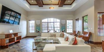 Clubhouse with comfortable seating, tv & high-speed wi-fi