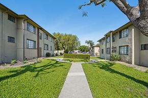 Los Angeles apartment for rent - A sunny day at a residential area with apartment buildings and a tree.