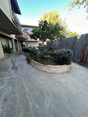 Los Angeles apartment for rent - A concrete patio with a small tree and bushes in a circular planter.