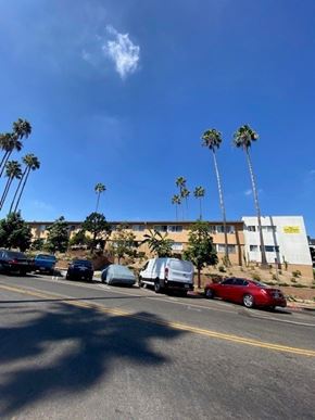 Los Angeles apartment for rent - A row of palm trees line a street with cars parked on the side.
