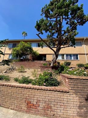 Los Angeles apartment for rent - A tree in front of a building with a brick wall in the foreground.