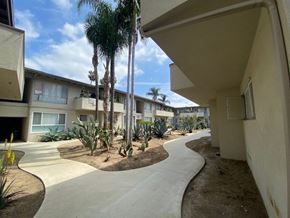 Los Angeles apartment for rent - A sunny day at a residential complex with a pathway and palm trees.