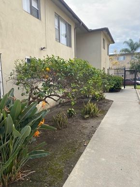 Los Angeles apartment for rent - A beige house with a grey walkway and green plants.