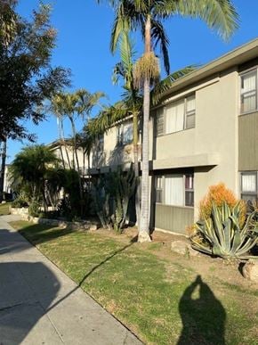 Los Angeles apartment for rent - A tall palm tree stands in front of a beige building.