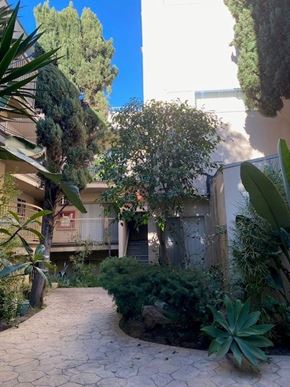 Los Angeles apartment for rent - A pathway leads through a lush garden.