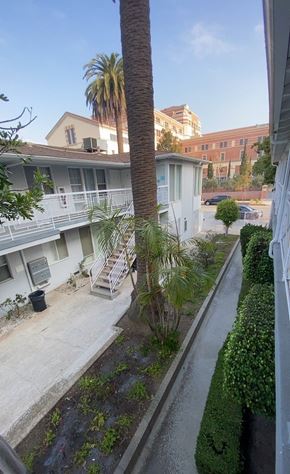 Santa Monica apartment for rent - A view of a street from a window with a palm tree in the distance.
